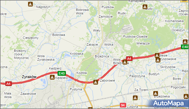 mapa Brzeźnica gmina Dębica, Brzeźnica gmina Dębica na mapie Targeo