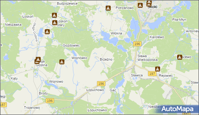 mapa Brzeźno gmina Skoki, Brzeźno gmina Skoki na mapie Targeo