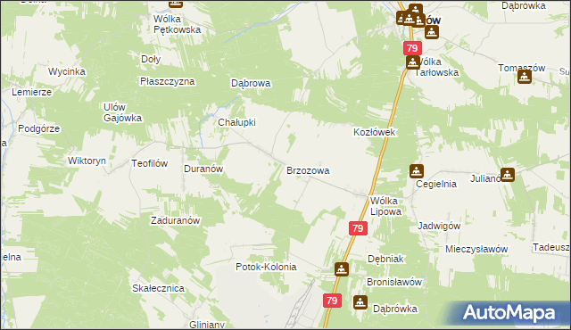 mapa Brzozowa gmina Tarłów, Brzozowa gmina Tarłów na mapie Targeo