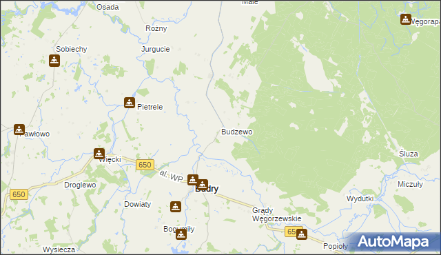 mapa Budzewo, Budzewo na mapie Targeo