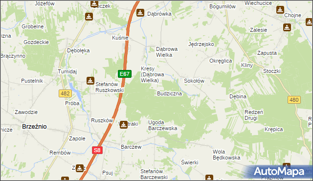 mapa Budziczna, Budziczna na mapie Targeo