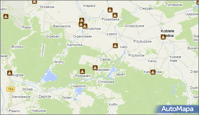 mapa Cadów, Cadów na mapie Targeo