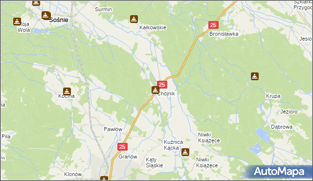 mapa Chojnik gmina Sośnie, Chojnik gmina Sośnie na mapie Targeo