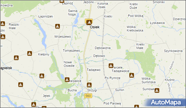 mapa Dębowo gmina Osiek, Dębowo gmina Osiek na mapie Targeo