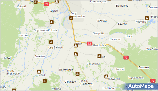 mapa Dominikowice gmina Poddębice, Dominikowice gmina Poddębice na mapie Targeo