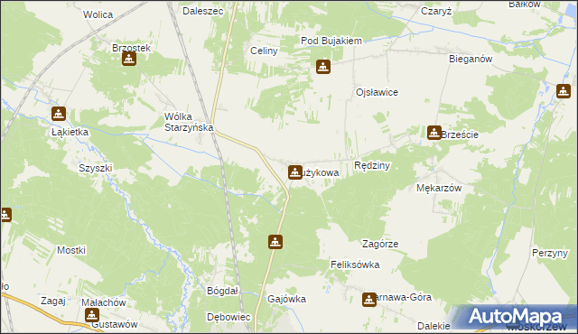 mapa Drużykowa, Drużykowa na mapie Targeo