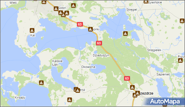 mapa Dziaduszyn, Dziaduszyn na mapie Targeo
