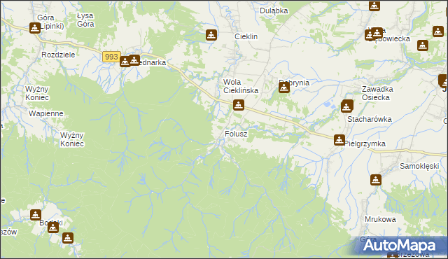mapa Folusz gmina Dębowiec, Folusz gmina Dębowiec na mapie Targeo