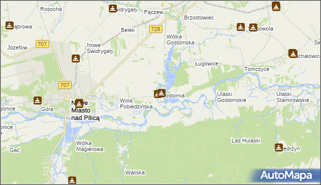 mapa Gostomia gmina Nowe Miasto nad Pilicą, Gostomia gmina Nowe Miasto nad Pilicą na mapie Targeo