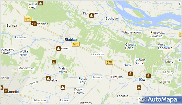 mapa Grzybów gmina Słubice, Grzybów gmina Słubice na mapie Targeo