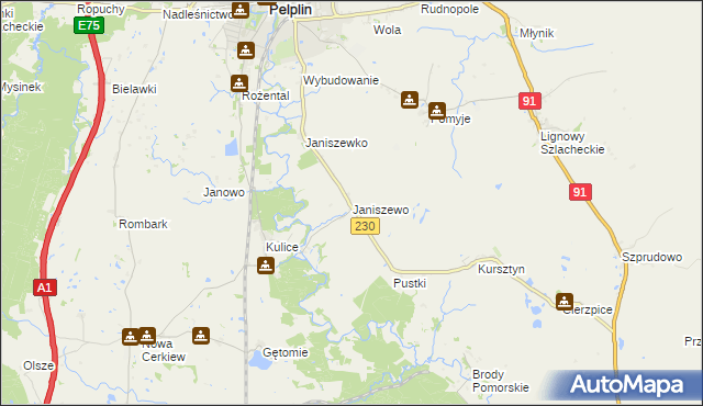 mapa Janiszewo gmina Pelplin, Janiszewo gmina Pelplin na mapie Targeo