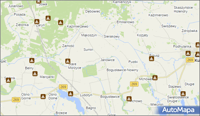 mapa Janowice gmina Babiak, Janowice gmina Babiak na mapie Targeo