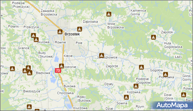 mapa Januszkowice gmina Brzostek, Januszkowice gmina Brzostek na mapie Targeo