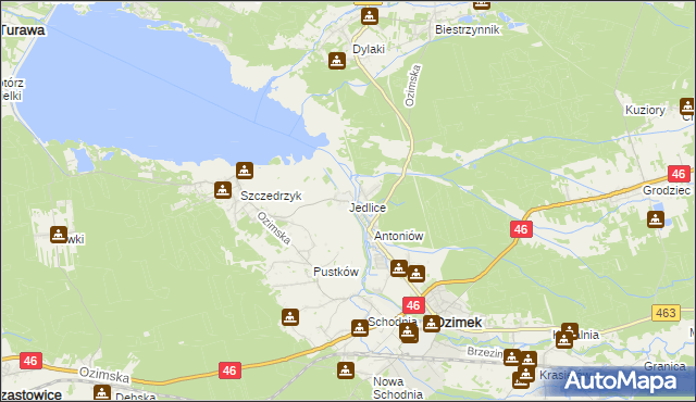 mapa Jedlice gmina Ozimek, Jedlice gmina Ozimek na mapie Targeo