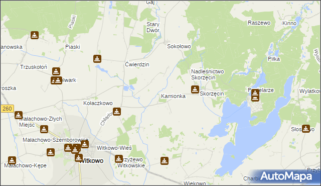 mapa Kamionka gmina Witkowo, Kamionka gmina Witkowo na mapie Targeo