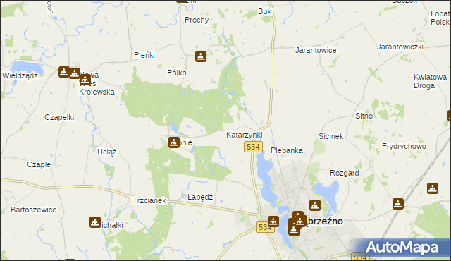 mapa Katarzynki gmina Ryńsk, Katarzynki gmina Ryńsk na mapie Targeo