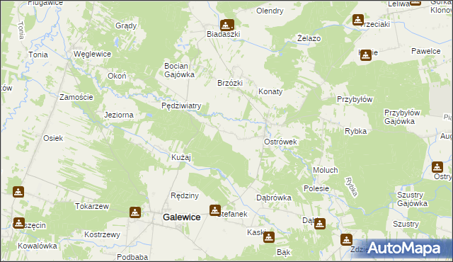 mapa Kaźmirów, Kaźmirów na mapie Targeo