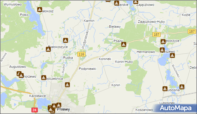 mapa Koninek gmina Pniewy, Koninek gmina Pniewy na mapie Targeo