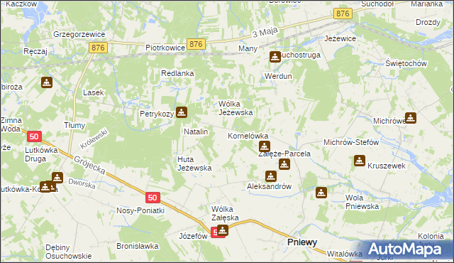 mapa Kornelówka gmina Pniewy, Kornelówka gmina Pniewy na mapie Targeo