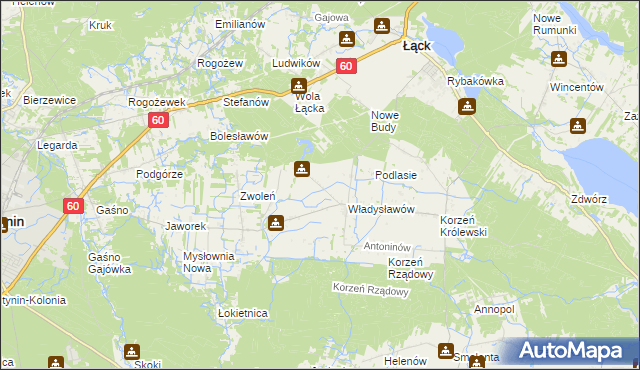 mapa Kościuszków gmina Łąck, Kościuszków gmina Łąck na mapie Targeo