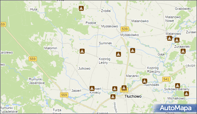 mapa Koziróg Leśny, Koziróg Leśny na mapie Targeo