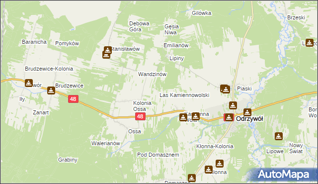 mapa Las Kamiennowolski, Las Kamiennowolski na mapie Targeo