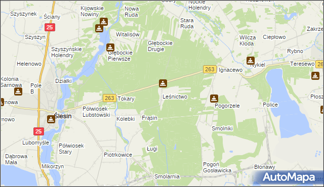 mapa Leśnictwo gmina Ślesin, Leśnictwo gmina Ślesin na mapie Targeo