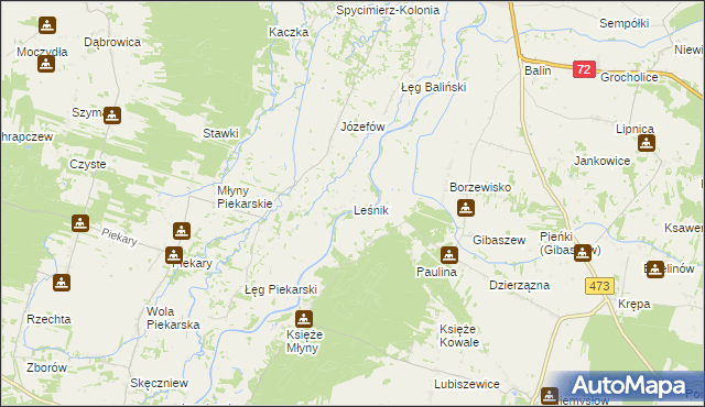 mapa Leśnik gmina Poddębice, Leśnik gmina Poddębice na mapie Targeo