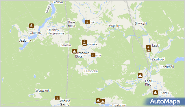 mapa Lisiny gmina Śliwice, Lisiny gmina Śliwice na mapie Targeo