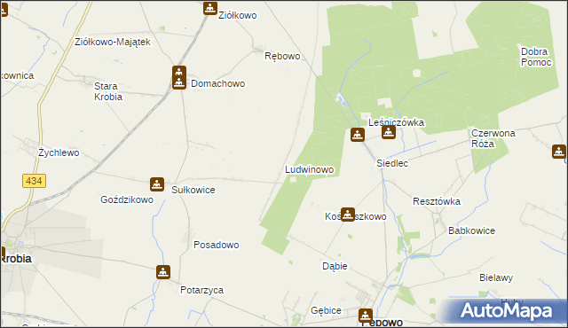 mapa Ludwinowo gmina Pępowo, Ludwinowo gmina Pępowo na mapie Targeo