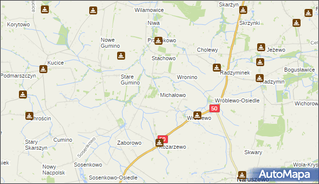 mapa Michałowo gmina Naruszewo, Michałowo gmina Naruszewo na mapie Targeo
