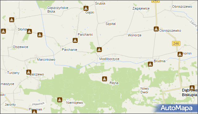 mapa Modliborzyce gmina Dąbrowa Biskupia, Modliborzyce gmina Dąbrowa Biskupia na mapie Targeo