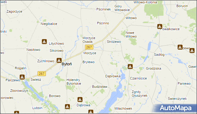 mapa Morzyce Kolonia, Morzyce Kolonia na mapie Targeo