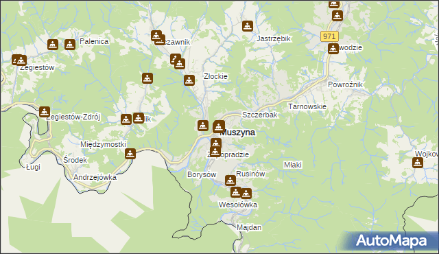 mapa Muszyna, Muszyna na mapie Targeo