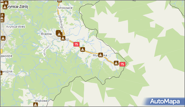 mapa Muszynka, Muszynka na mapie Targeo