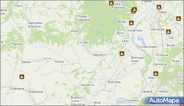 mapa Nagoszyn, Nagoszyn na mapie Targeo