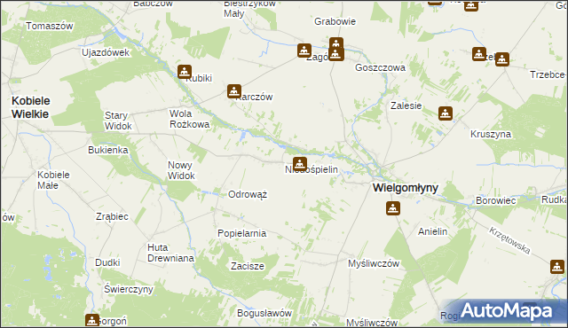mapa Niedośpielin, Niedośpielin na mapie Targeo