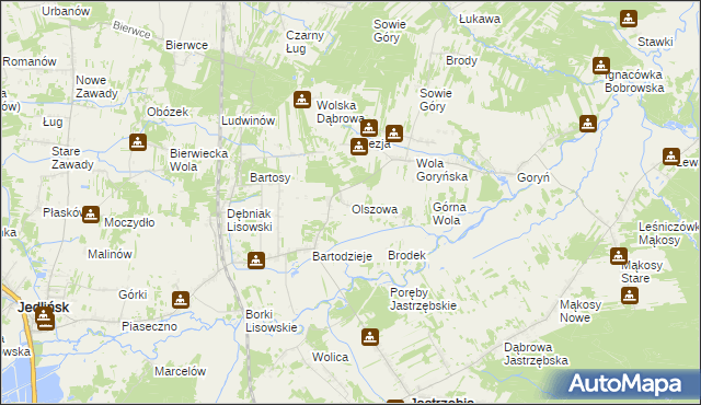 mapa Olszowa gmina Jastrzębia, Olszowa gmina Jastrzębia na mapie Targeo