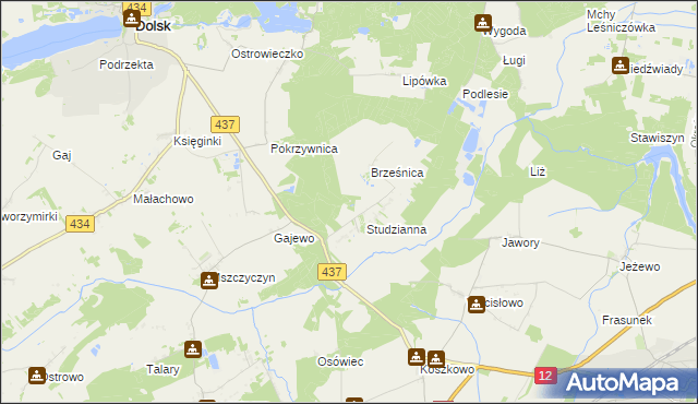 mapa Orliniec gmina Dolsk, Orliniec gmina Dolsk na mapie Targeo