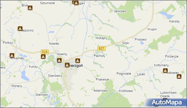 mapa Pachoły gmina Dzierzgoń, Pachoły gmina Dzierzgoń na mapie Targeo