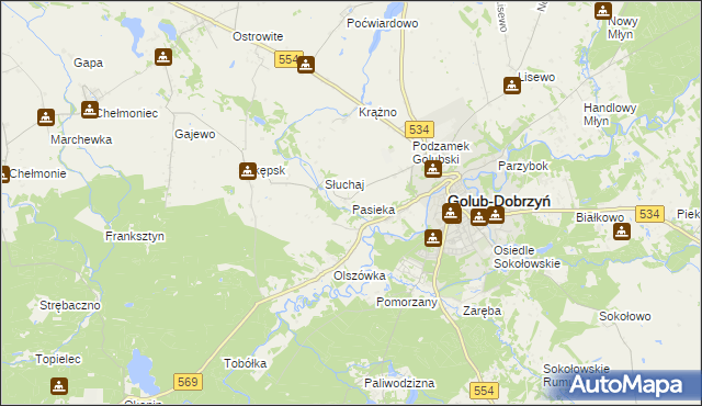 mapa Pasieka gmina Golub-Dobrzyń, Pasieka gmina Golub-Dobrzyń na mapie Targeo