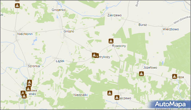 mapa Petrykozy gmina Działdowo, Petrykozy gmina Działdowo na mapie Targeo