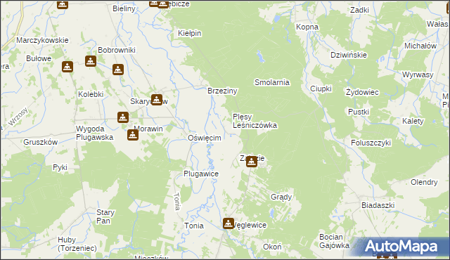 mapa Plęsy gmina Galewice, Plęsy gmina Galewice na mapie Targeo