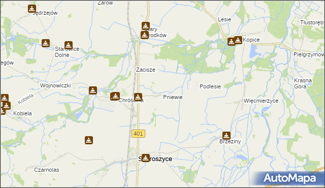 mapa Pniewie gmina Skoroszyce, Pniewie gmina Skoroszyce na mapie Targeo