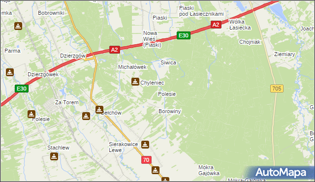 mapa Polesie gmina Nieborów, Polesie gmina Nieborów na mapie Targeo