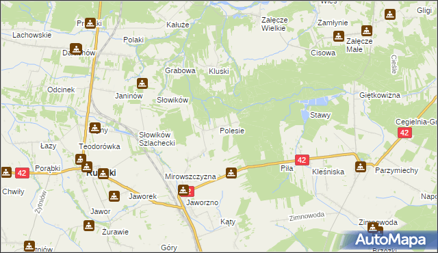 mapa Polesie gmina Rudniki, Polesie gmina Rudniki na mapie Targeo