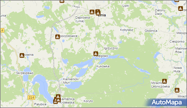 mapa Potęgowo gmina Linia, Potęgowo gmina Linia na mapie Targeo