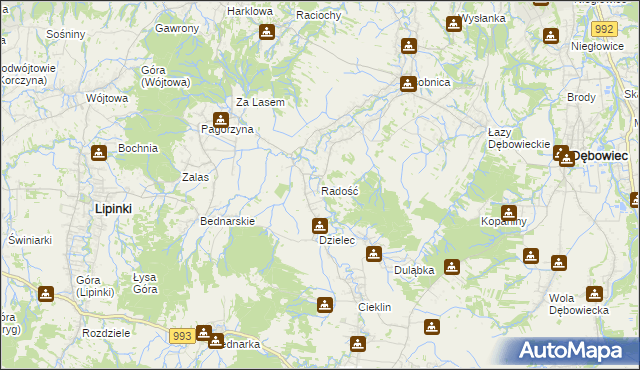 mapa Radość gmina Dębowiec, Radość gmina Dębowiec na mapie Targeo