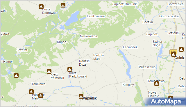 mapa Radziki Małe, Radziki Małe na mapie Targeo