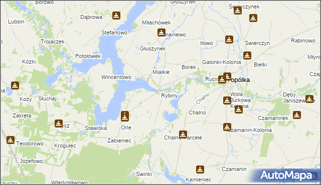 mapa Rybiny, Rybiny na mapie Targeo